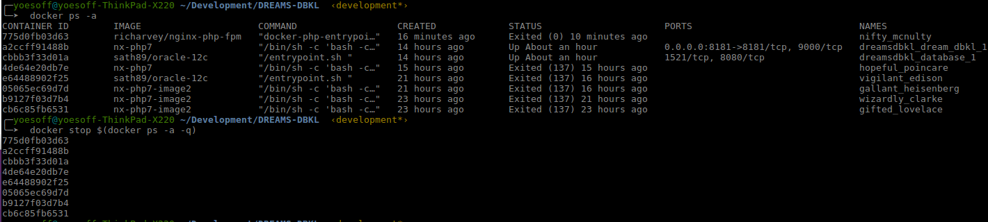 Docker exited 137. Смена консоли Linux bin/Bash. TCP 1521 8080 характеристики. Server. Docker exec bin bash